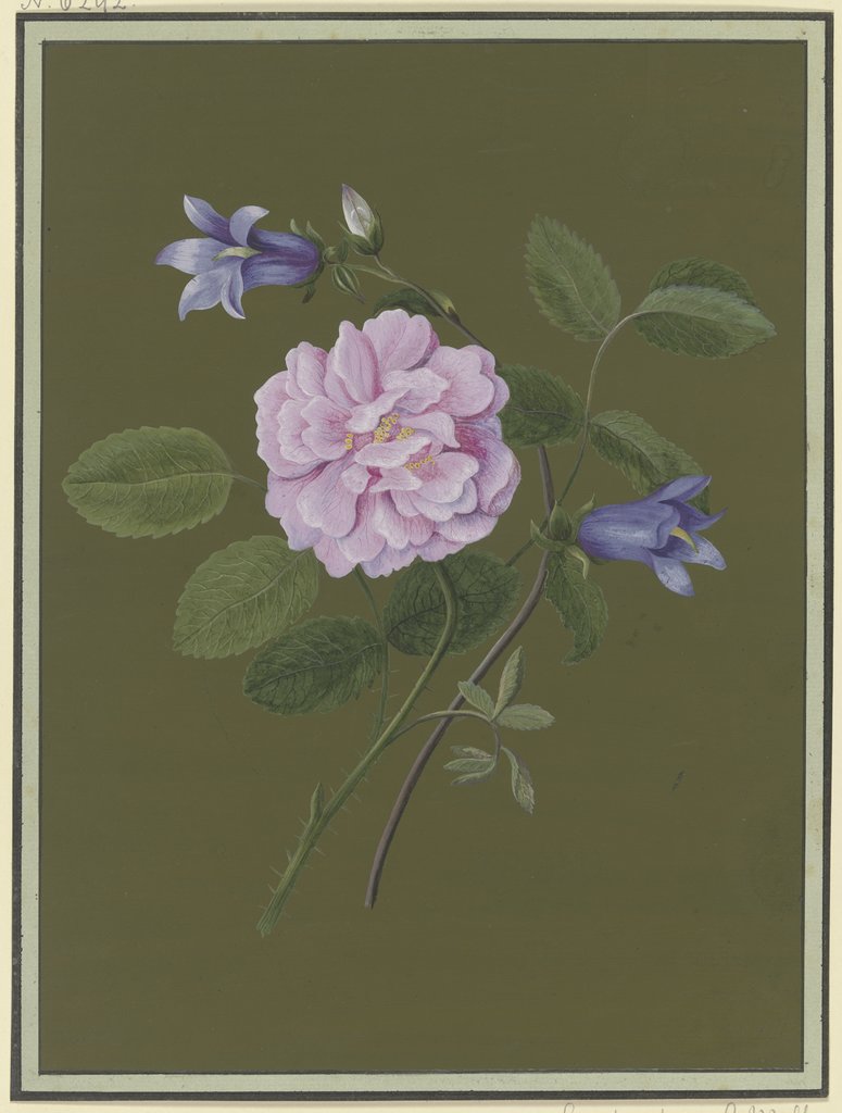 Rose and bluebells, Christiane Friederike Stricker