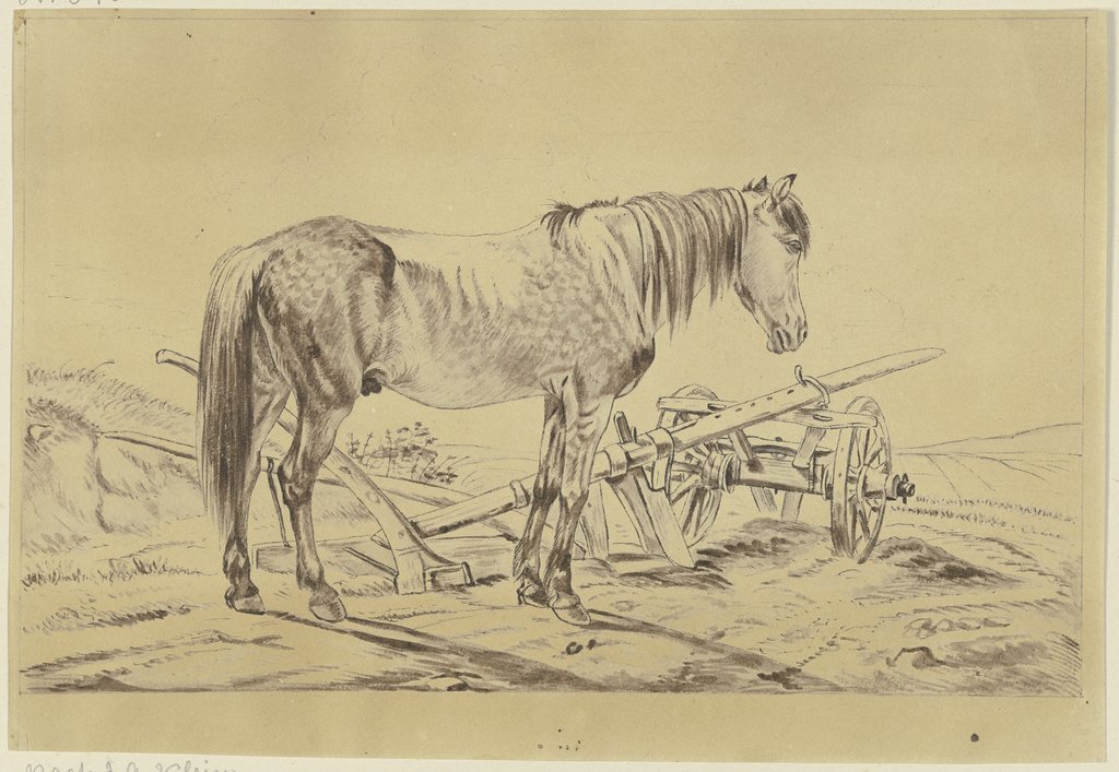 Pferd mit Pflug, Philipp Stricker, nach Johann Adam Klein