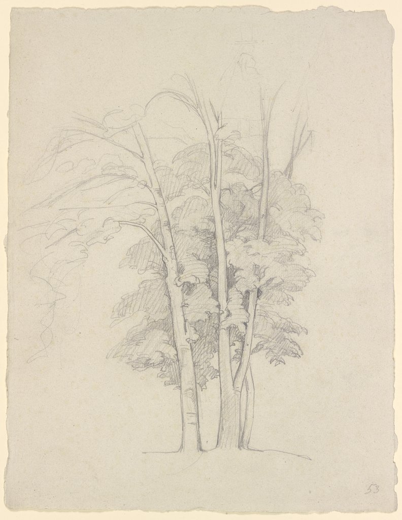 Drei Bäume, Gustave Courbet