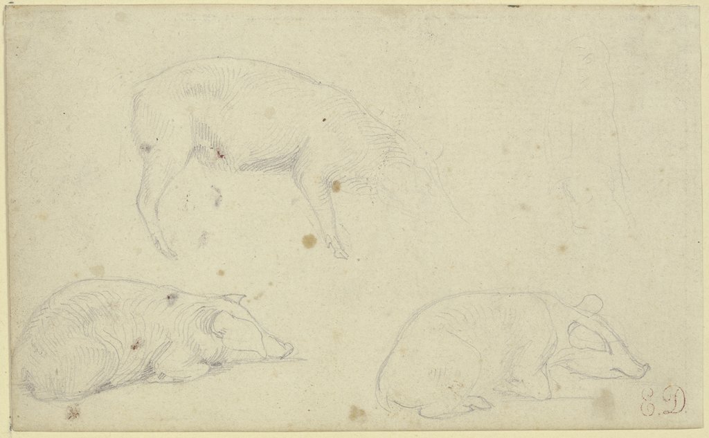 Studienblatt: Drei Schweine, Eugène Delacroix