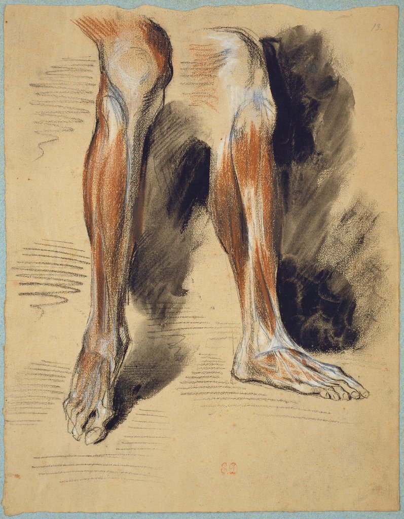 Studienblatt: Anatomie eines rechten Beines, Eugène Delacroix