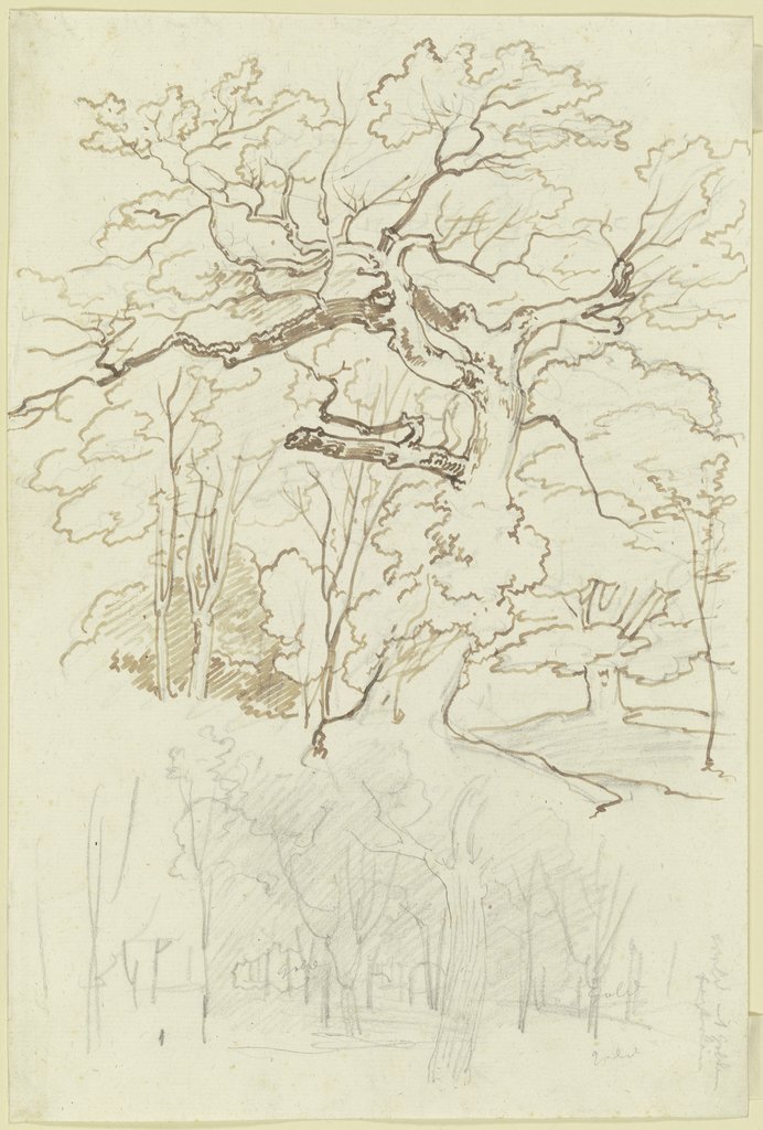 Oak forest, Carl Philipp Fohr