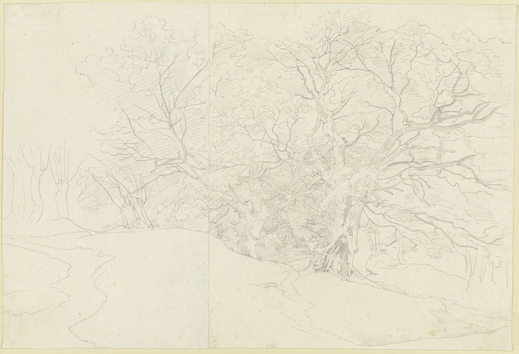 Waldinneres mit kahlen Bäumen (Weiden und Eichen), Carl Philipp Fohr