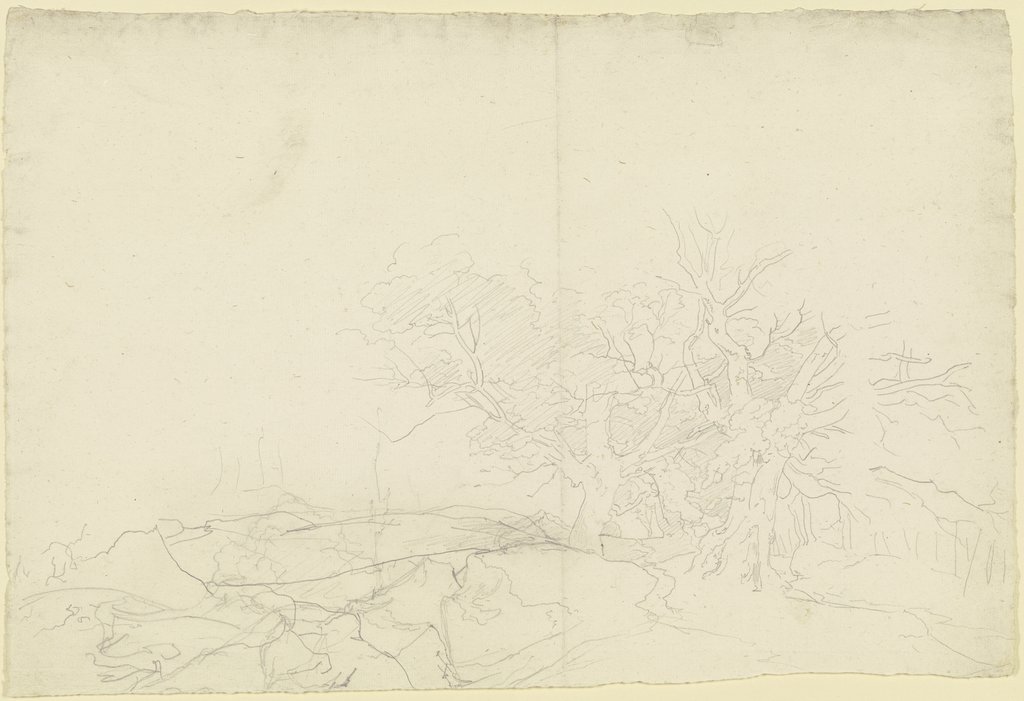 Landschaft mit Bäumen und Felsstücken, Carl Philipp Fohr