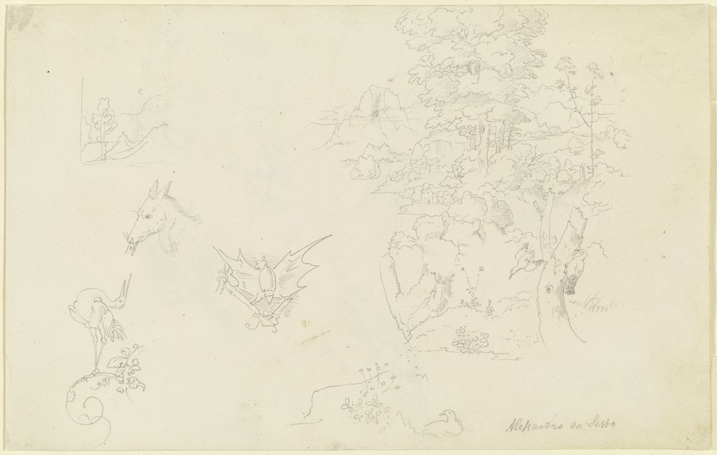 Tiere mit Ranken; eine Fledermaus; ein kleiner und ein größerer Landschaftsausschnitt mit zwei Vögeln an einem Baum, Carl Philipp Fohr