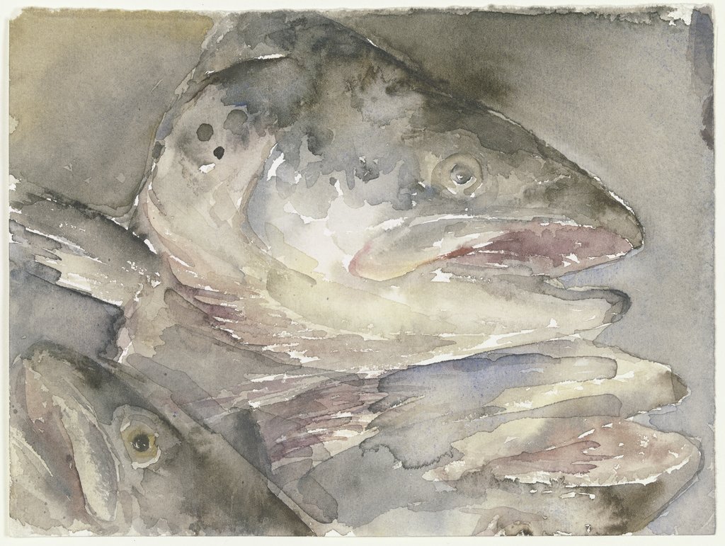 Fish head, group picture, Vroni Schwegler