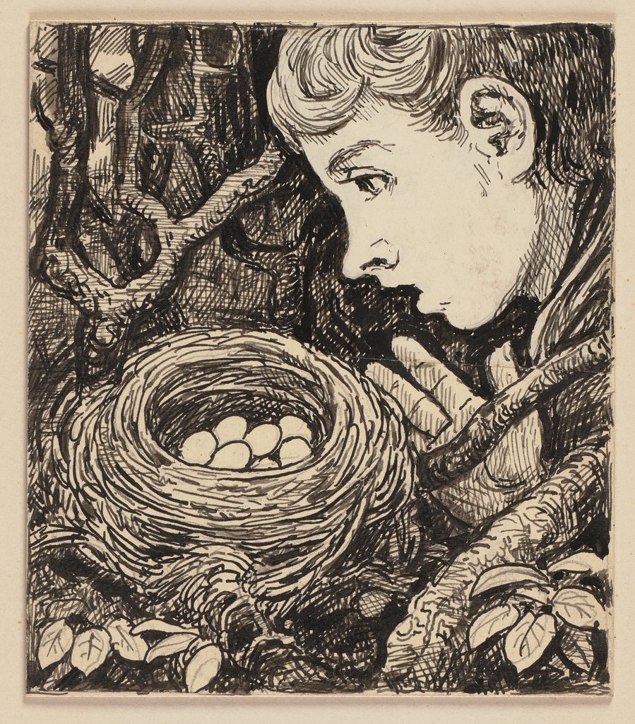 Zeichnung zur Fibel: Nest, Hans Thoma
