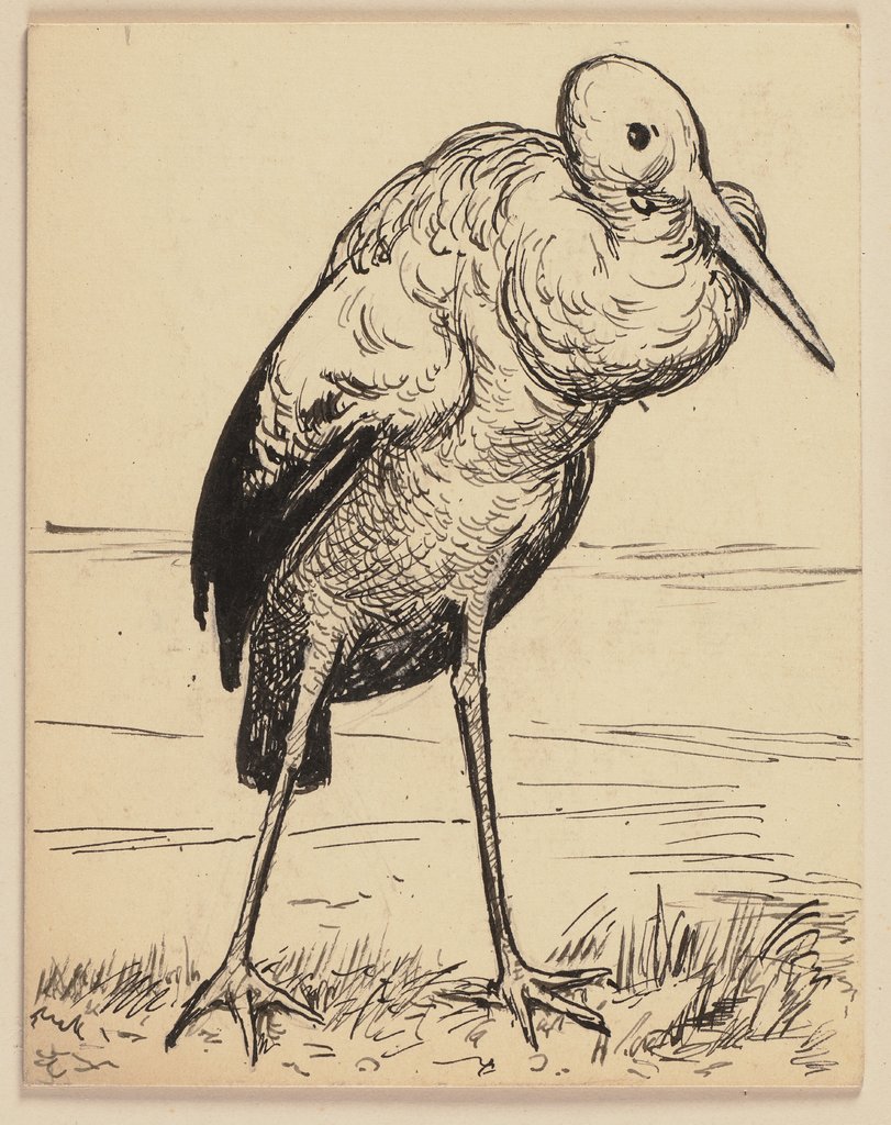 Zeichnung zur Fibel: Storch, Hans Thoma