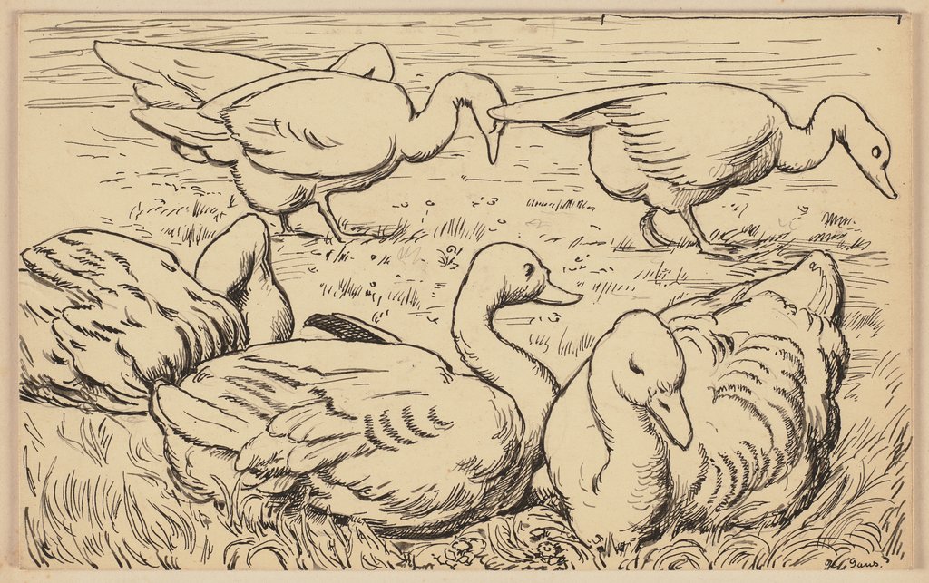 Drawing for the primer: Goose, Hans Thoma
