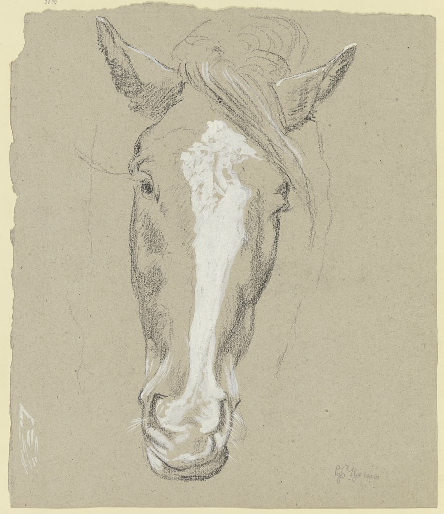 Horse head, Hans Thoma