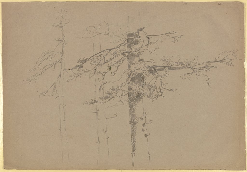 Three trees in a row, Carl Theodor Reiffenstein