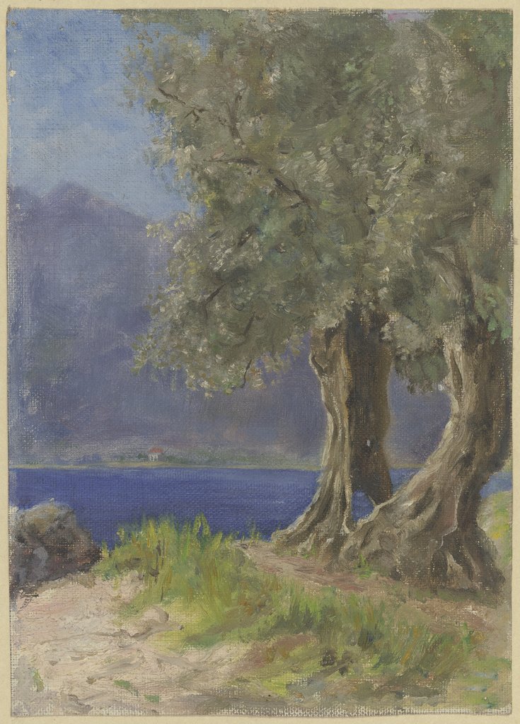 Olivenbaumgruppe an einem italienischen See, Fritz Hauck