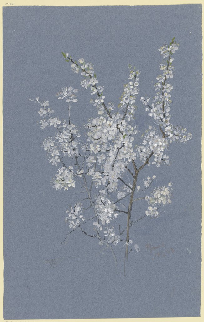 Blooming branch, Marie Paquet-Steinhausen