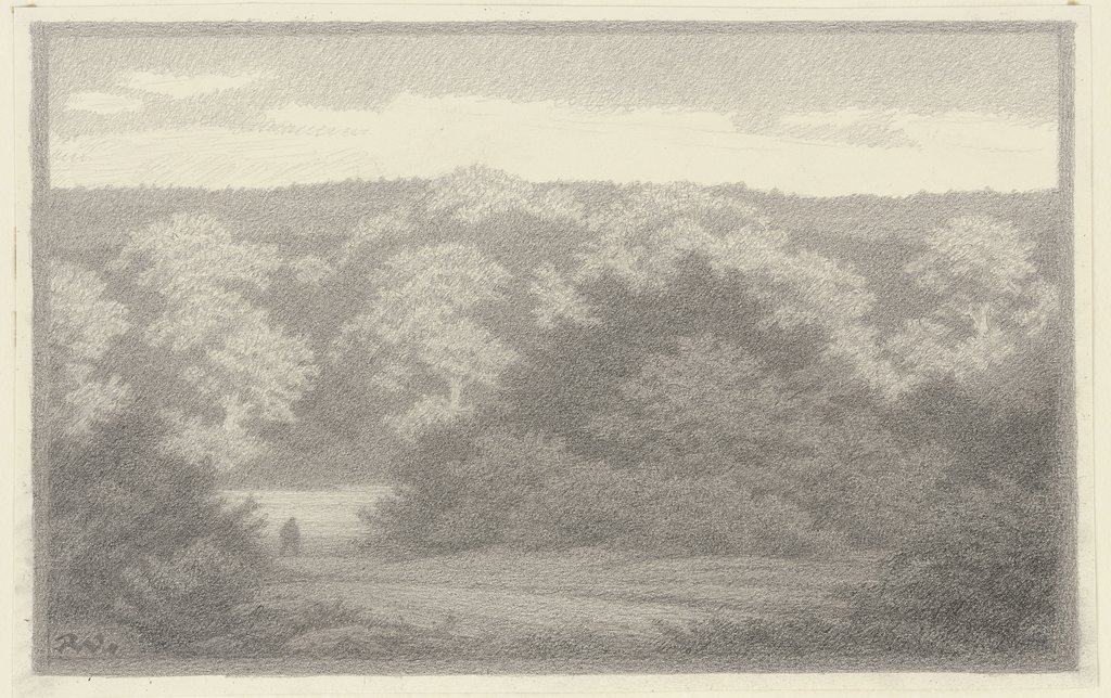 Forest landscape, Rolf Winter