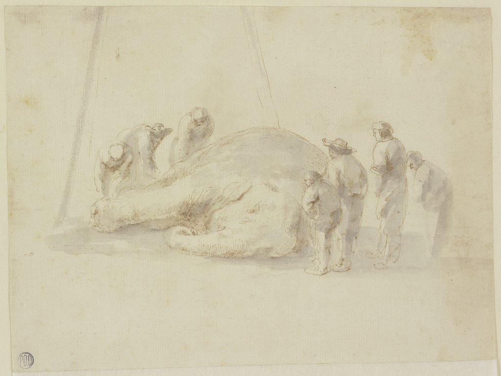 Toter Elefant und sieben Betrachter, Stefano della Bella