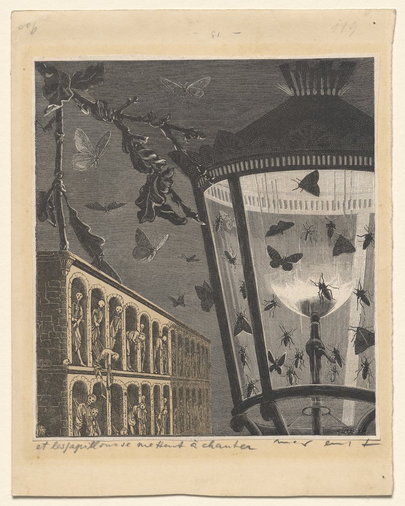 et les papillons se mettent à chanter, Max Ernst