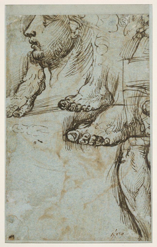 Studie eines Kopfes im Profil, dreier Füße und eines Unterschenkels, Tizian