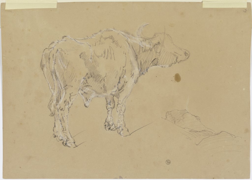 A buffalo, Johann Nepomuk Rauch