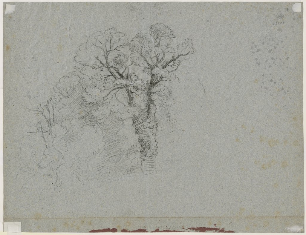 Group of trees, Friedrich Nerly