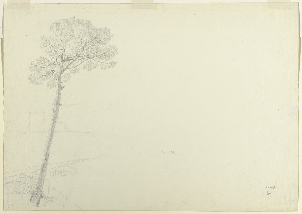Baum in einer Landschaft, Theodor Pelissier