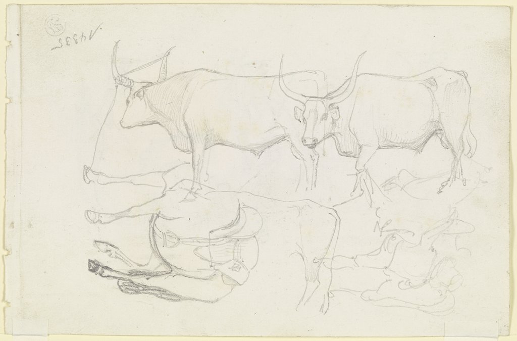 Horses and cattle, August Lucas