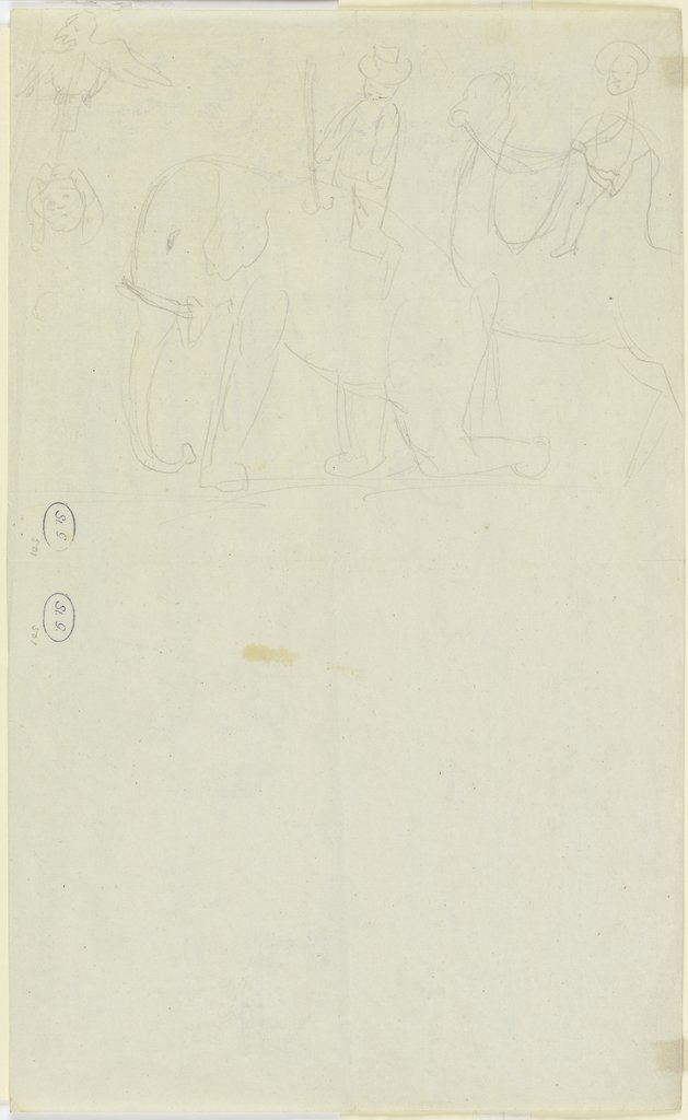 Elefant und Kamel mit Reitern, Franz Pforr