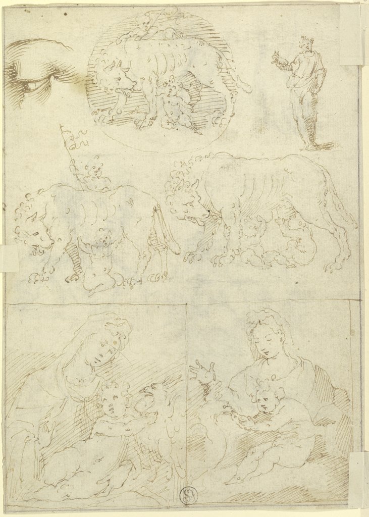 Studienblatt: Wölfin mit Romulus und Remus sowie Madonna, Art des Parmigianino;   ?
