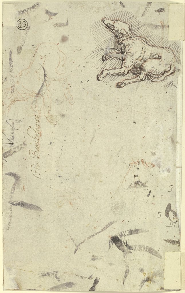 Zwei Hunde, Italienisch, 16. Jahrhundert