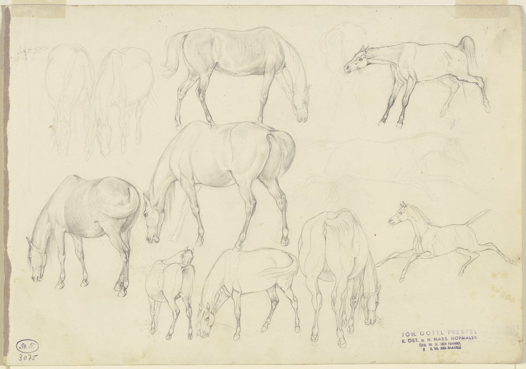 Study sheet: Horses, Johann Erdmann Gottlieb Prestel