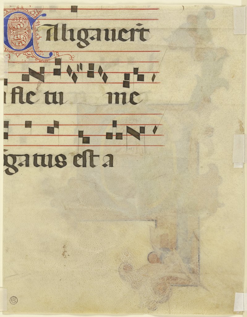 Lateinischer Text "Aligauerit ..." und Noten, Sienesisch, 14. Jahrhundert
