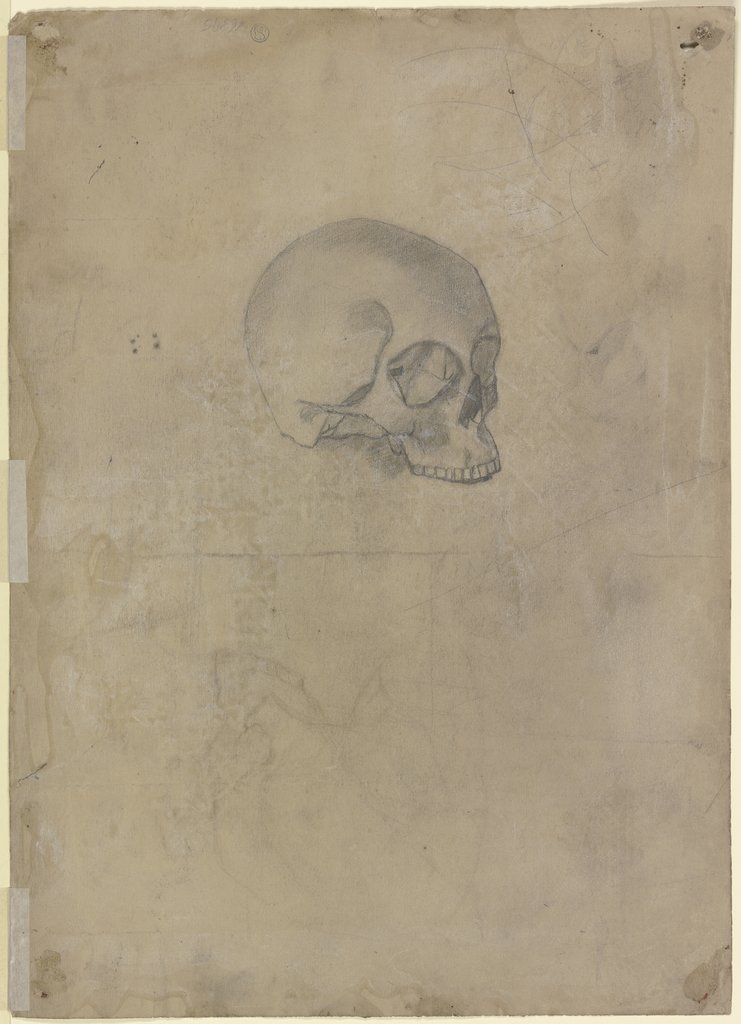 Skull, Otto Scholderer