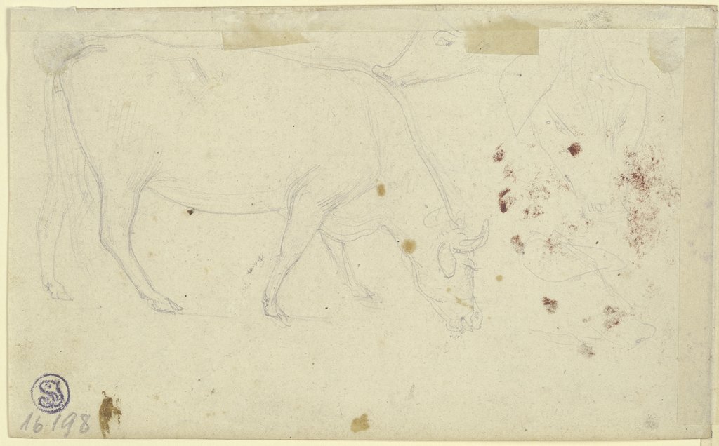 Studienblatt: Rind und Schweine, Eugène Delacroix