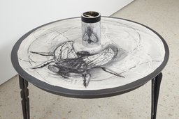 Fliege, Zeichnung aus dem Film “What Will Come” mit Ansicht im Spiegelzylinder
