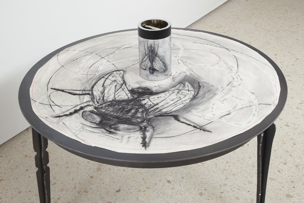 Fly, Drawing for the Movie „What Will Come‟ with View in Cylindrical Mirror, William Kentridge