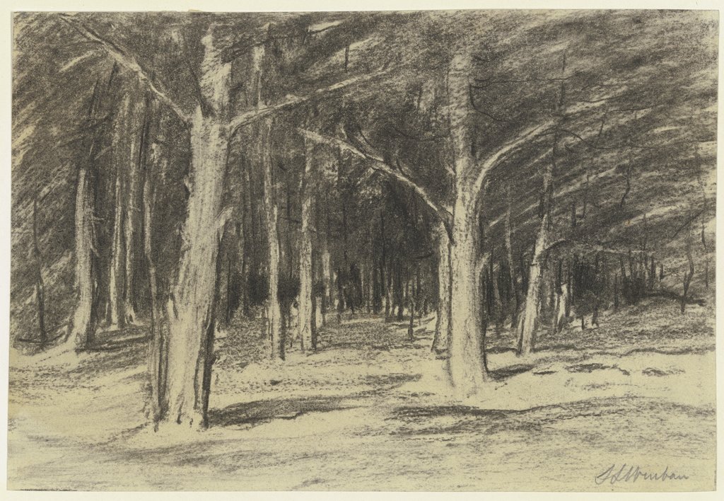 Forest, Sion Longley Wenban
