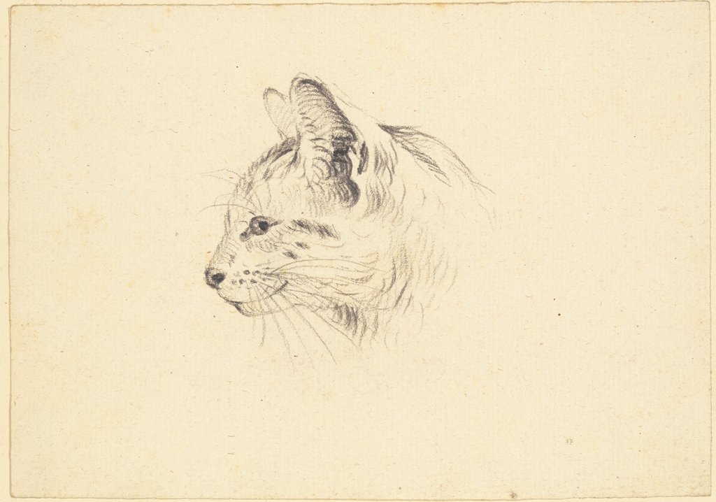 Cat head, Friedrich Wilhelm Hirt