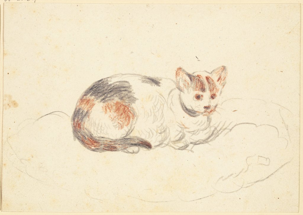 Liegende Katze, Friedrich Wilhelm Hirt