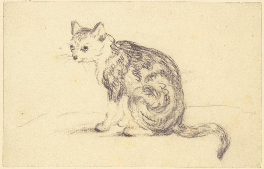 Sitting cat, Friedrich Wilhelm Hirt