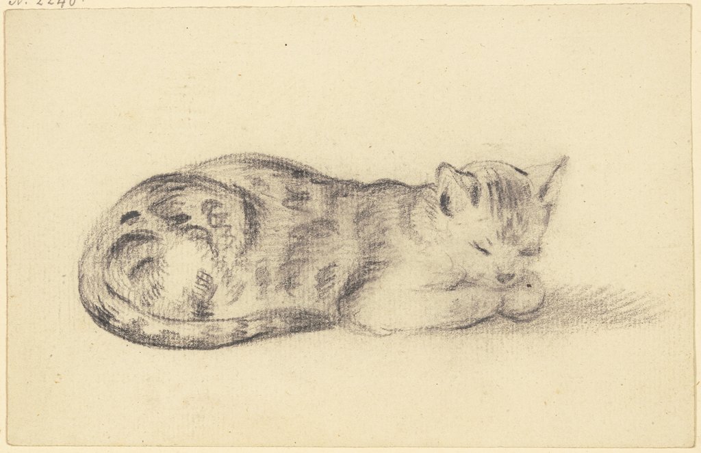 Schlafende Katze, Friedrich Wilhelm Hirt