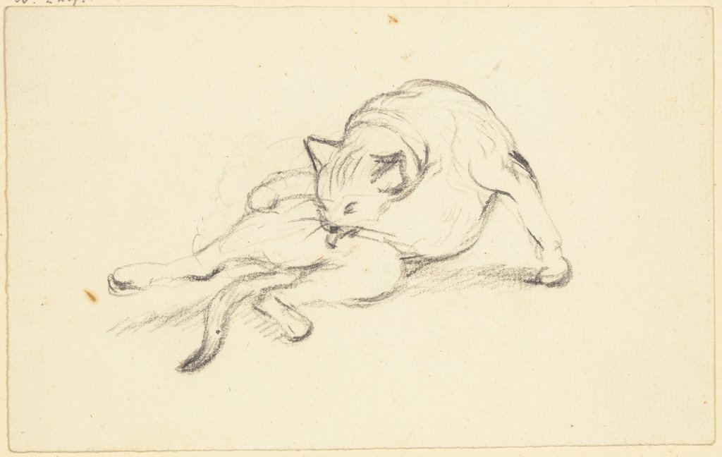 Sich putzende Katze, Friedrich Wilhelm Hirt