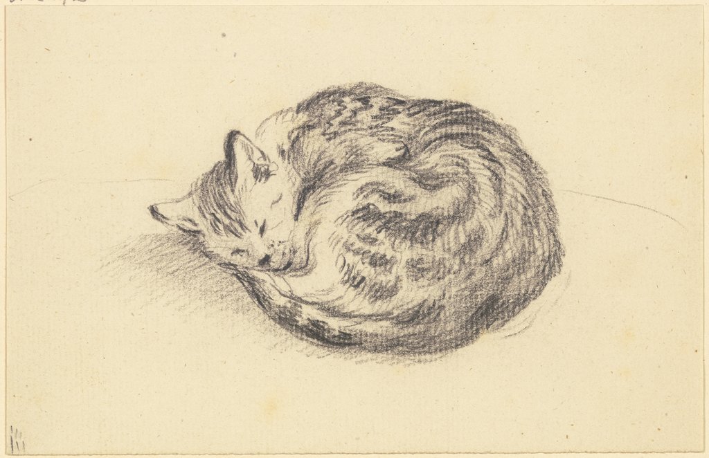 Sleeping cat, Friedrich Wilhelm Hirt