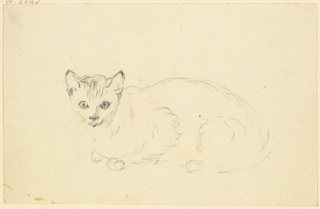 Liegende Katze, Friedrich Wilhelm Hirt