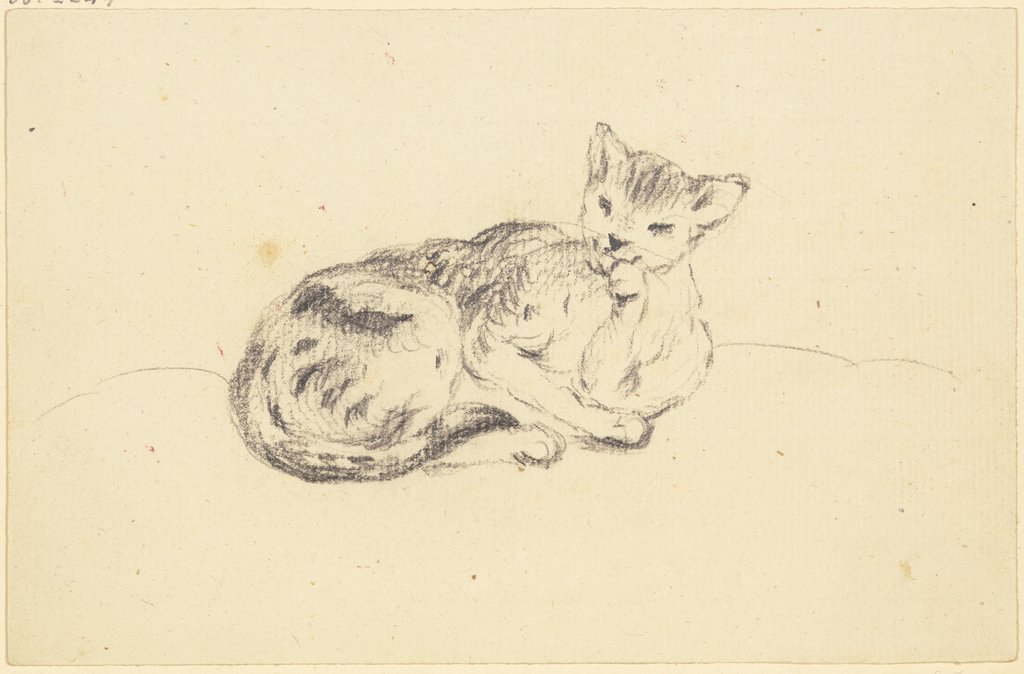 Sich putzende Katze, Friedrich Wilhelm Hirt