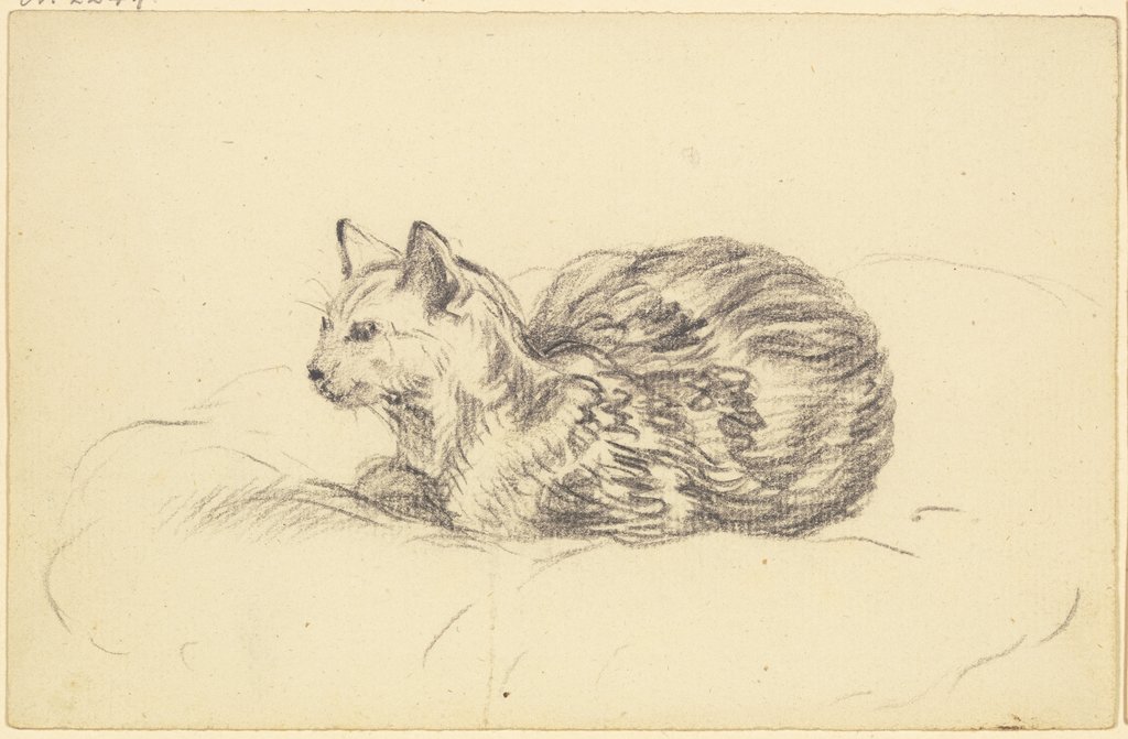 Lying cat, Friedrich Wilhelm Hirt