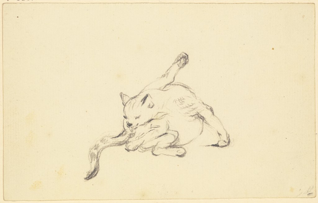 Grooming cat, Friedrich Wilhelm Hirt