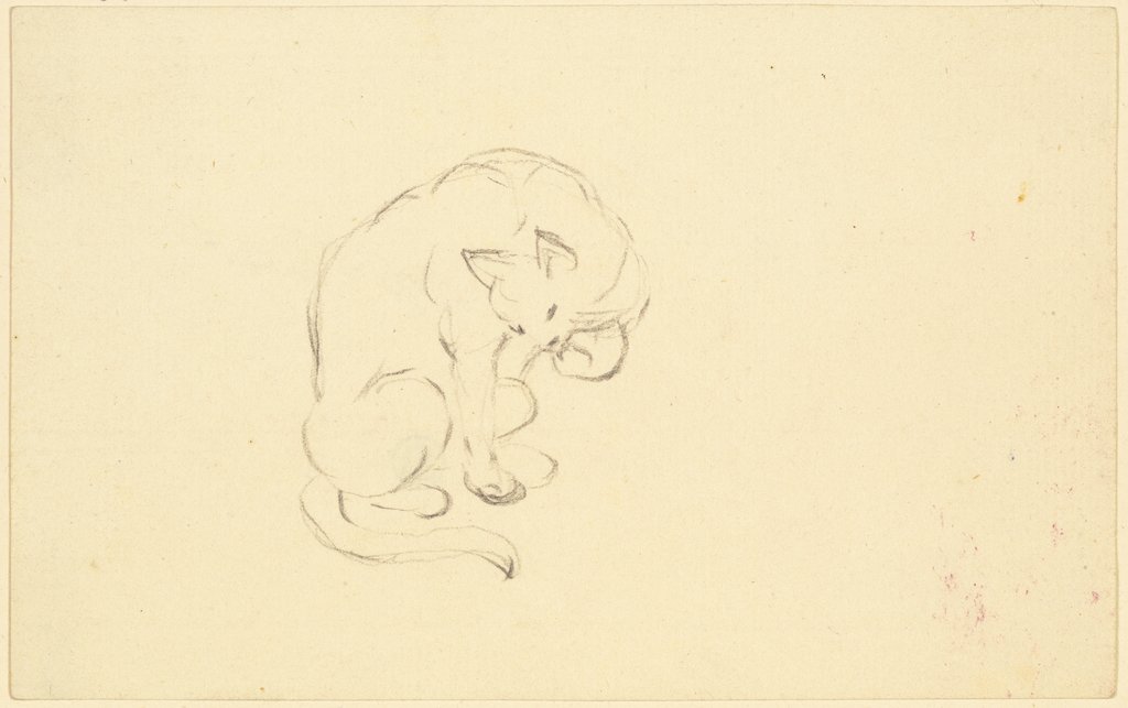 Sich putzende Katze, Friedrich Wilhelm Hirt