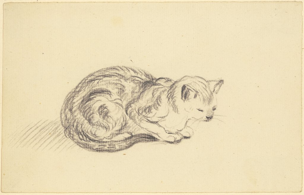 Squatting cat, Friedrich Wilhelm Hirt