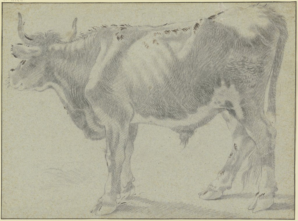 Ox looking to the left, Francesco Londonio