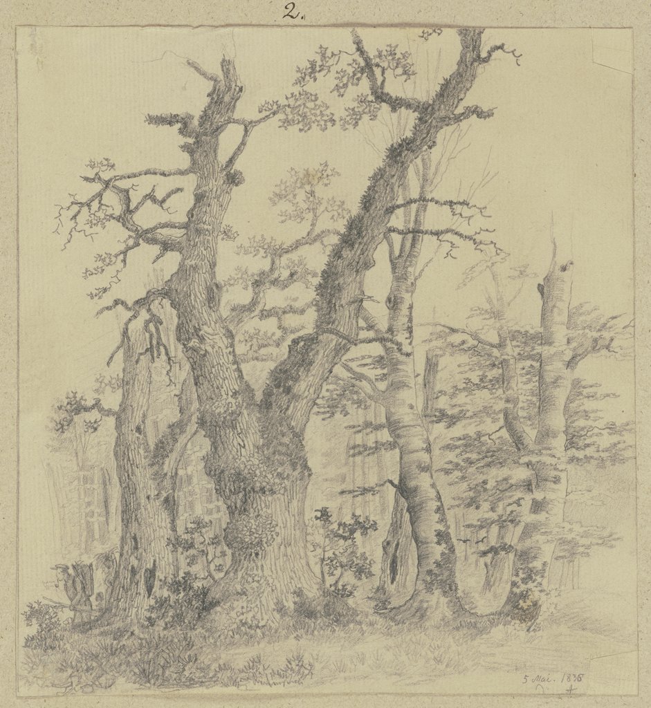 Forest scene, Carl Theodor Reiffenstein