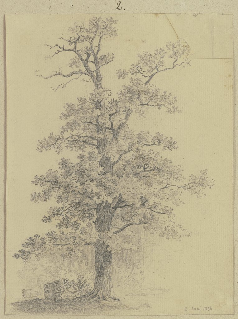 Baum am Waldrand mit Holzstoß, Carl Theodor Reiffenstein